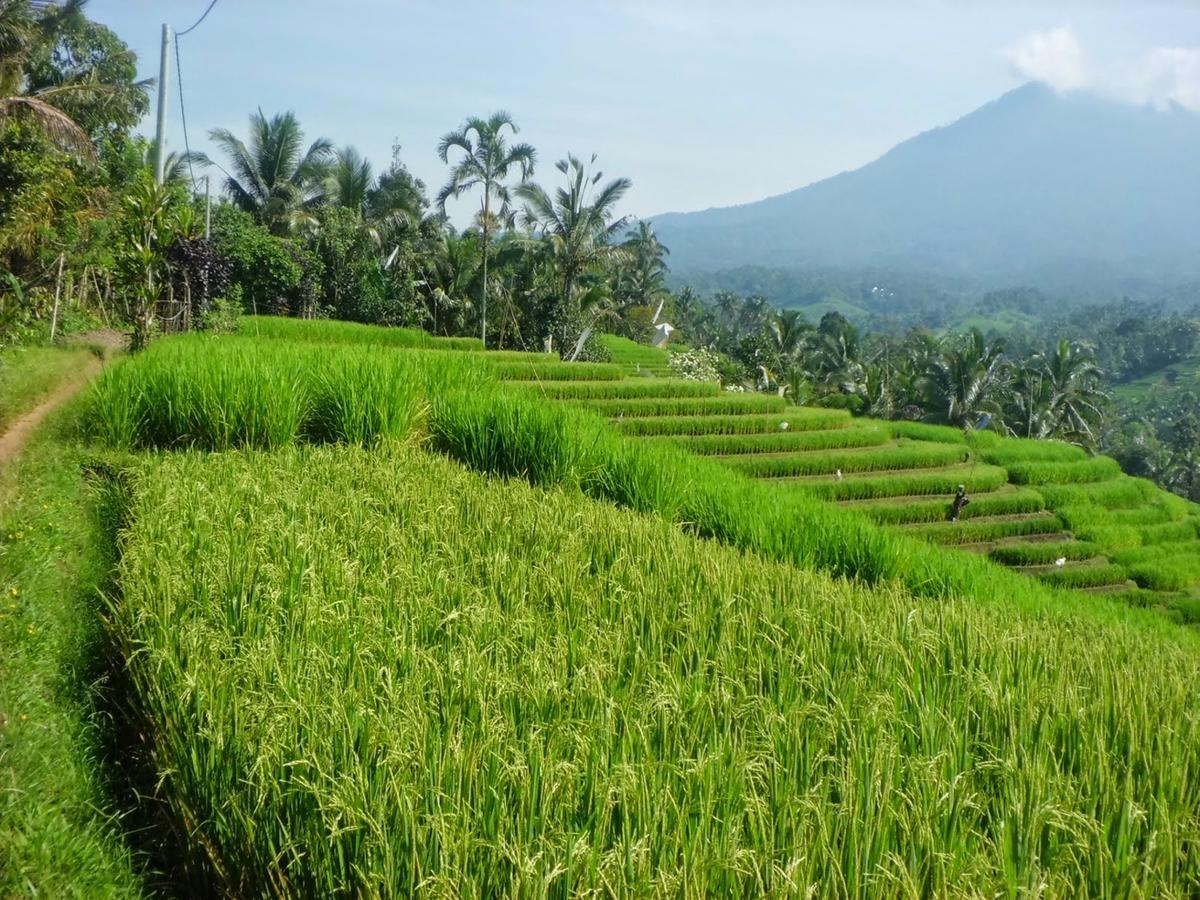 Zen Rooms Kuta Tuban Suites 외부 사진
